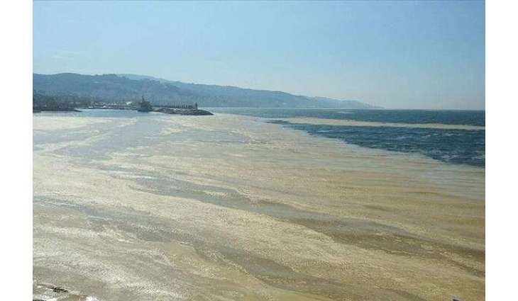 Marine Researchers Raise Alarm Over Sea Slime Plaguing Waters off Istanbul