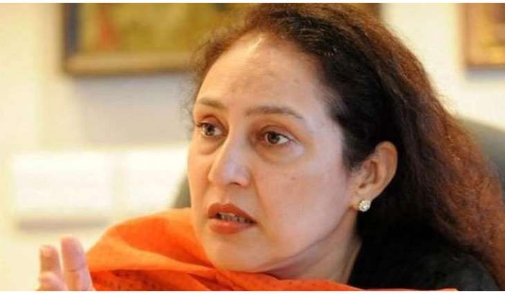 Seven people booked over attack on MPA Jugnu Mohsin
