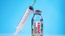 Russia Can Deliver Extra Sputnik V COVID-19 Vaccine Doses to Syria If Necessary - Diplomat