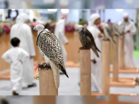 ADIHEX announces 'Most Beautiful Captive-Bred Falcons' contestcontest