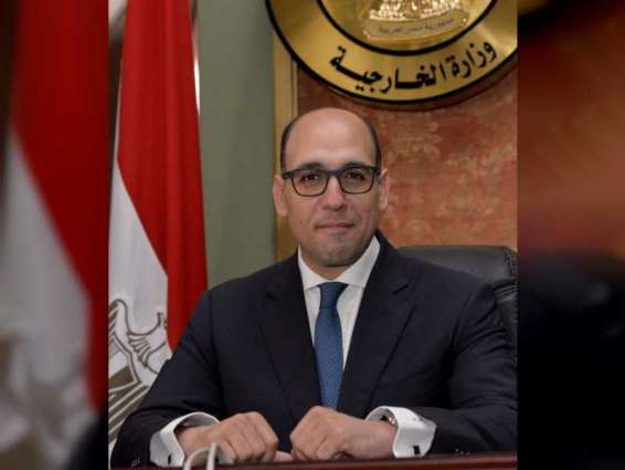 مصر تهنئ الإمارات لانتخابها لعضوية مجلس الأمن