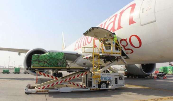 Mohammed bin Rashid orders humanitarian aid flight to volcano-hit Goma in Congo