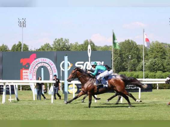 UAE President’s Cup World Series for Purebred Arabian Horses arrives in Italy