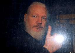 US Used Lying Witness in Assange Case 'Out of Sheer Desperation' - Ecuadorian Ex-Consul