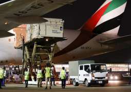 Emirates SkyCargo to transport 247 horses from Liege to Tokyo