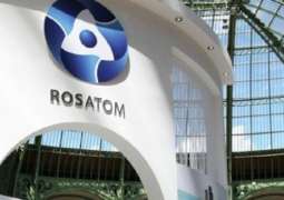 Russia's Rosatom Has Proposals on South Africa's Nuclear Energy Development - Ministry