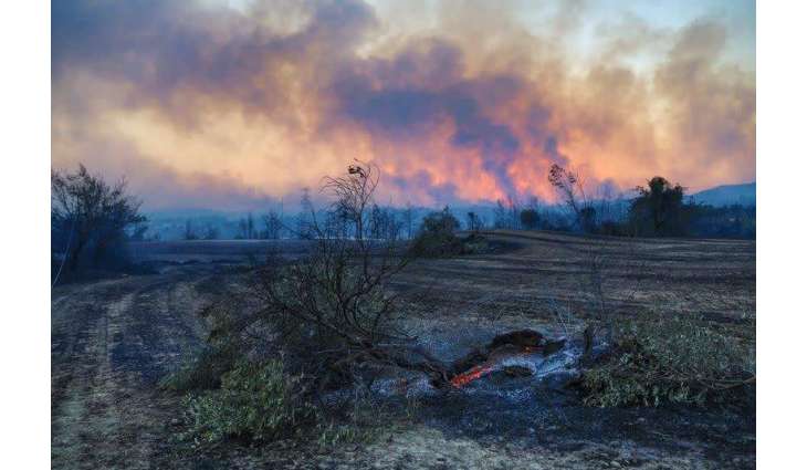 Wildfire Raging in 6 Turkish Provinces - Agriculture Minister