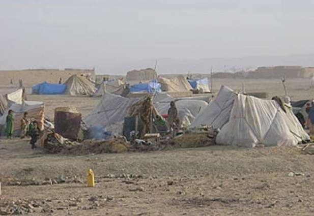 Tajikistan Housing About 1,000 Afghan Refugees in Border Tent Camp - Ambassador