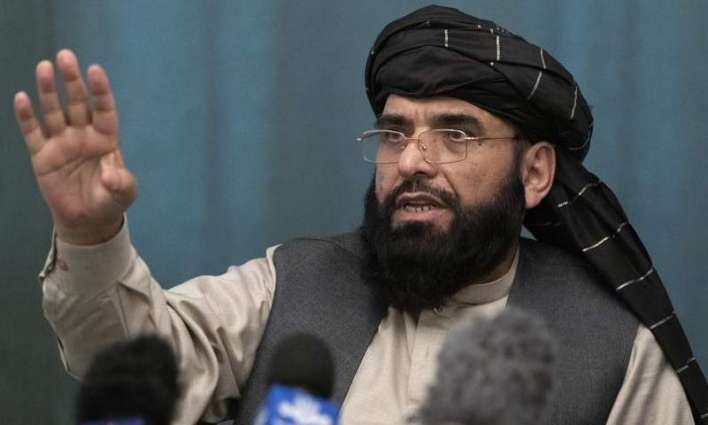 Taliban Say Discussed Peace Process in Afghanistan With EU Special Representative