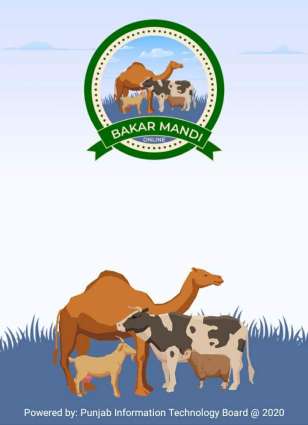 Sale of animals worth Rs. 55 Million reported through Bakar Mandi Online app