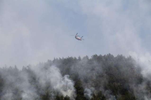 Wildfires in Southern Turkey Injure Over 180 People - Forestry Minister