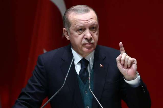 Turkey Arrests Suspect in Starting Forest Fires in Country - Erdogan