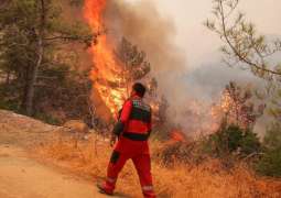 Italian Police Arrest 2 Arsonists in Sicily During Wildfires