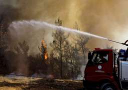 Turkish Power Station Damaged by Fires to Resume Work Soon - Energy Minister