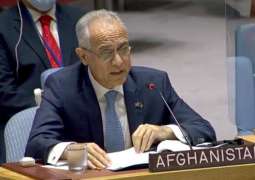 Taliban Attacks Launched with Direct Support of Over 10,000 Terrorists - Afghan UN Envoy