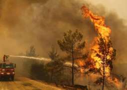 All Forest Fires in Turkey Under Control Except for 2 in Mugla Province - Minister