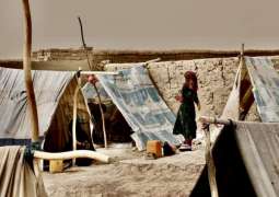 Afghanistan Nearing Humanitarian Crisis at 'Unprecedented' Pace - Charity