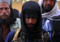 Taliban More Negotiable than Kabul 'Puppet' Government - Russian Diplomat