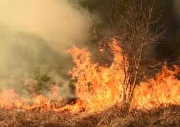 Wildfires Rage in Southern France Affect 4,000 Hectares - Civil Defense Agency