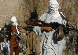 German Intelligence Believed Taliban's Seizure of Kabul Unlikely Before Sept 11 - Reports