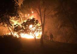 Wildfires in France's Southeast Kill 2, Injure 26 - Authorities
