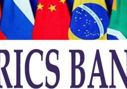 Russian Security Council Head to Discuss Global Security With BRICS