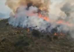 Spanish Gov't Declares 13 Autonomous Communities as Disaster Zones Due to Wildfires
