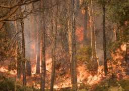 New NASA 'Wildfire Program' to Direct Firefighters Using Satellite Data - Administrator