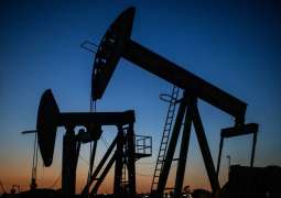 Iraq Favors Realistic Response to Shifts in Global Oil Market - Ministry