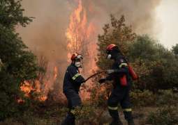 Greek Fire Service Says Russia's Help in Extinguishing Fires Was 'Extraordinary'