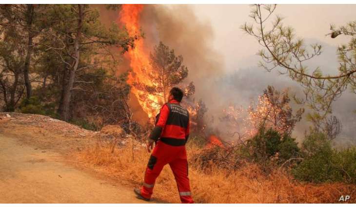 Italian Police Arrest 2 Arsonists in Sicily During Wildfires