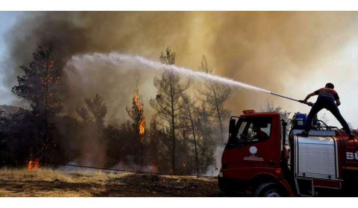 Turkish Power Station Damaged by Fires to Resume Work Soon - Energy Minister