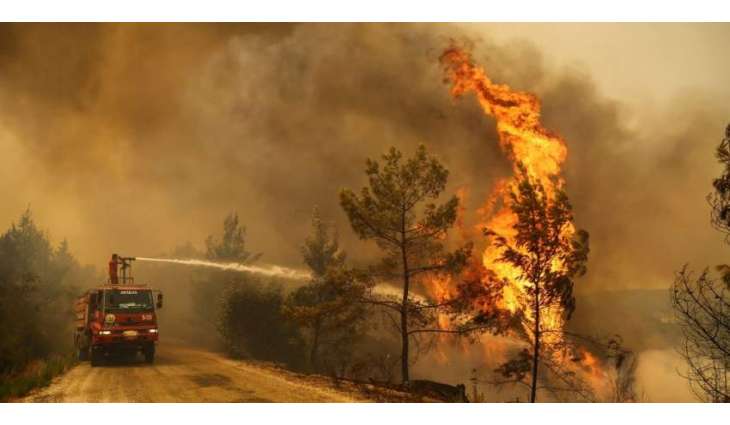 All Forest Fires in Turkey Under Control Except for 2 in Mugla Province - Minister