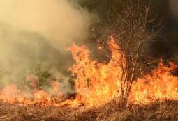 Wildfires Rage in Southern France Affect 4,000 Hectares - Civil Defense Agency