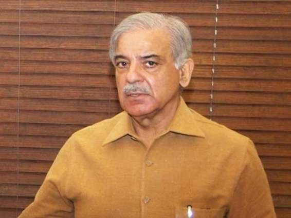 Shehbaz Sharif rejects ‘fake news’ of his decision to resign from PML-N Presidency
