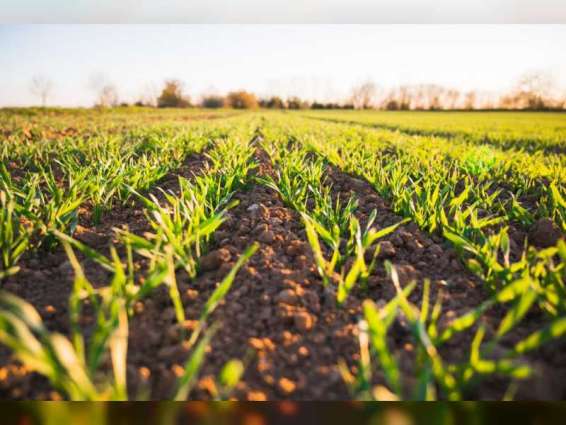"الزراعة والسلامة الغذائية" تنجز المسح الميداني لمدخلات الإنتاج والتكوين الرأسمالي للقطاع الزراعي في إمارة أبوظبي