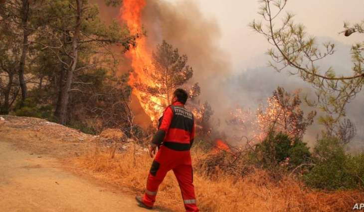Italian Police Arrest 2 Arsonists in Sicily During Wildfires