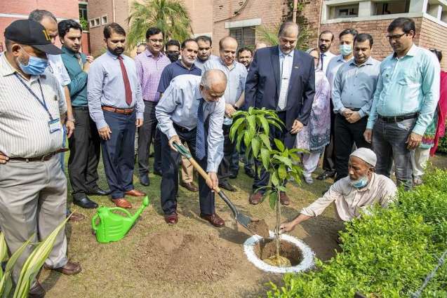 UVAS VC launched monsoon tree plantation Campaign to promote greenery under Prime Minister`s Green Pakistan Programme