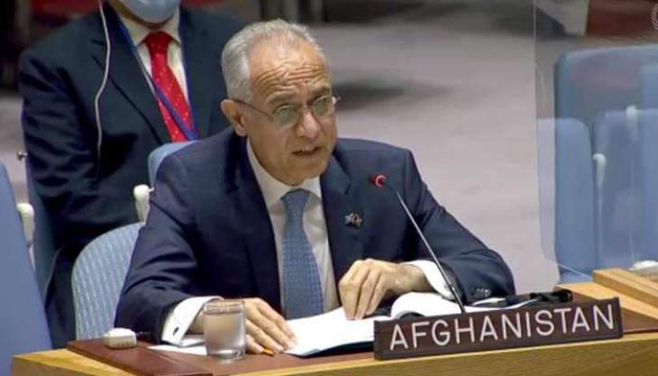 Taliban Attacks Launched with Direct Support of Over 10,000 Terrorists - Afghan UN Envoy