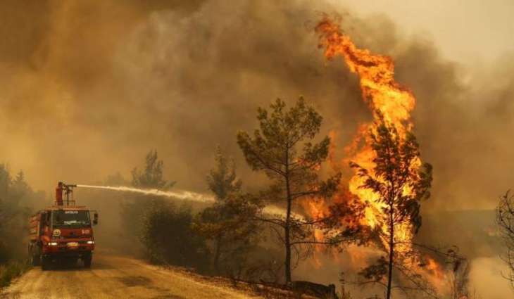 All Forest Fires in Turkey Under Control Except for 2 in Mugla Province - Minister