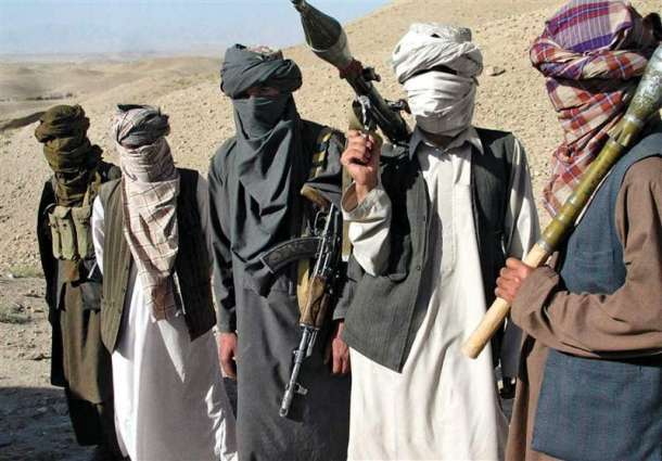 Taliban Backed by Some Islamic Funds, Mostly From Persian Gulf - Russian Diplomat