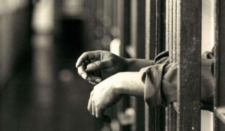 Russia's Security Service Detained 31 Katiba al-Tawhid wal-Jihad Terrorists