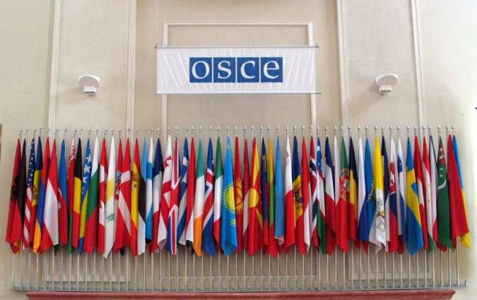 OSCE Media Freedom Envoy Concerned Over Kiev's Sanctions Affecting Journalists' Work