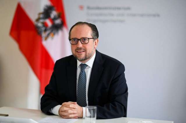 Austria Not Planning Any Official Visit to Crimea - Foreign Minister