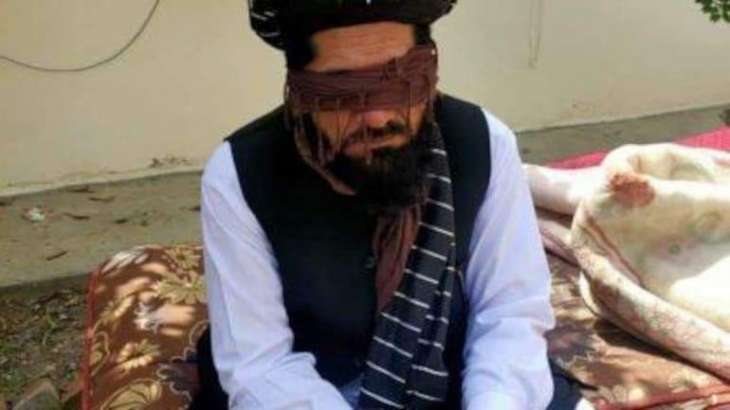 Taliban Arrest Ex-Head of Afghan National Council of Religious Scholars - Source