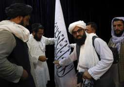 Afghan Diplomat Calls on Countries Supporting Taliban Not to Rush to Recognize Movement
