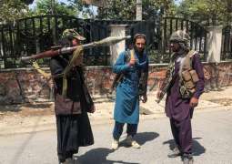 Afghan Constitution to Be Rewritten or Amended - Taliban