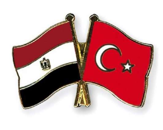 Turkey, Egypt Discuss Normalizing Relations During 2nd Round of Consultations - Ankara