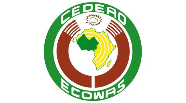 ECOWAS Delegation Arrives in Guinea to Meet With Insurgents - Reports