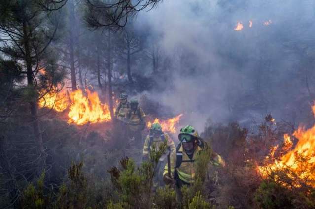 Powerful Wildfire Raging in Southern Spain Since Last Week Now Under Control - Authorities